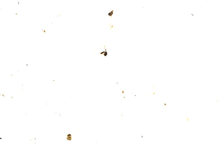 Image 35